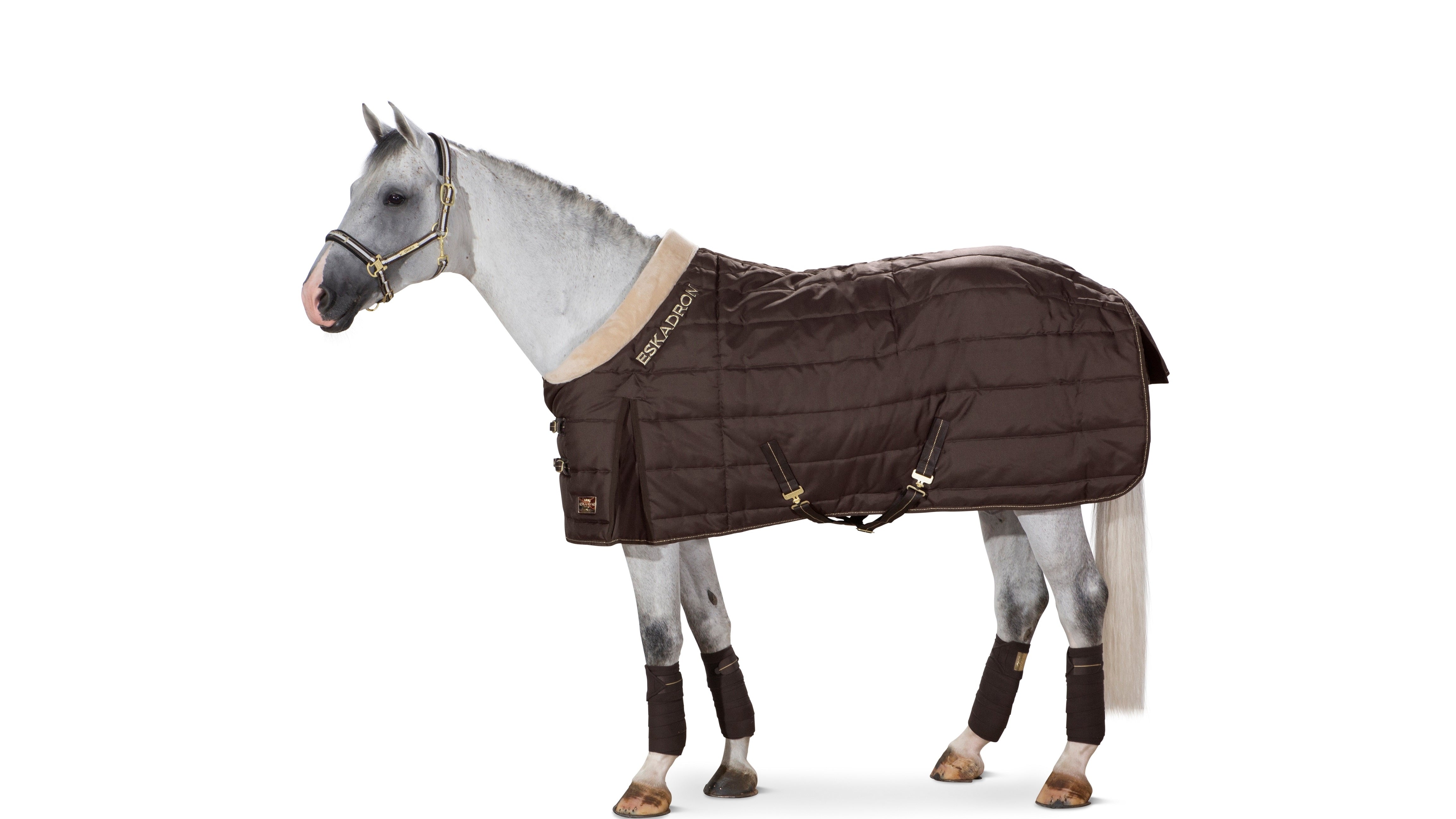 Couverture équitation écurie 50g Cheval Et Poney - Combo 50 Bordeaux Id 4796978 Couverture équitation écurie 50g Cheval Et Poney - Combo 50 Bordeaux Id 4796978