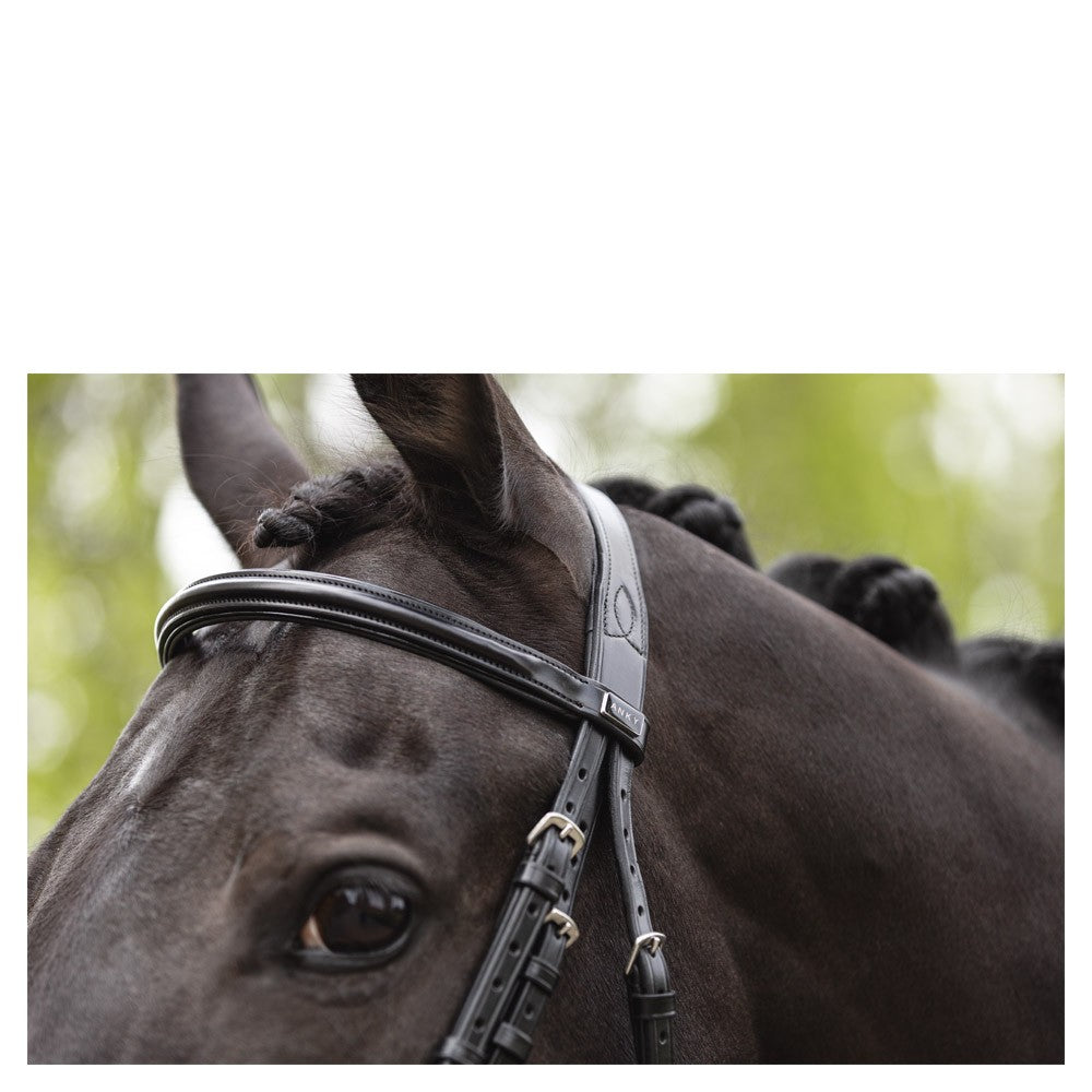 Adams-Tack Bride de cheval en cuir anglais 8 mm rembourré ... - Alibaba Adams-Tack Bride de cheval en cuir anglais 8 mm rembourré ... - Alibaba