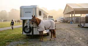 Mon cheval stresse en concours : quelles solutions ?
