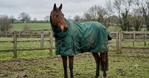 Couvertures cheval : séchante, imperméable ou de box, comment choisir ?