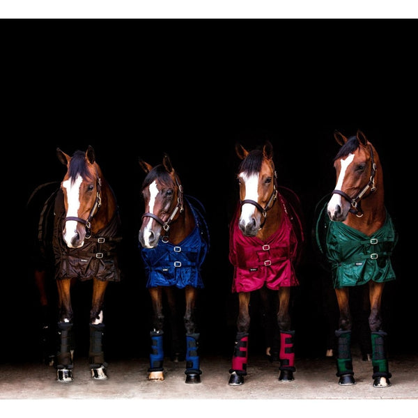 Chemises pour chevaux | Sellerie Bucéphale
