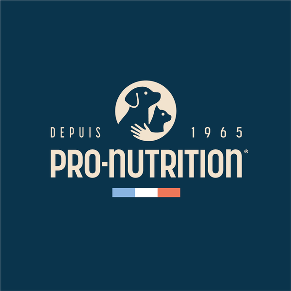 Pro-Nutrition | Sellerie Bucéphale