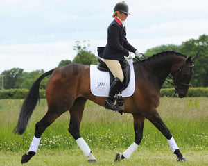Guêtres Woof Wear double velcro Blanc Cheval en concours | Sellerie Bucéphale