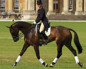 Guêtres Woof Wear double velcro Blanc Cheval en concours | Sellerie Bucéphale