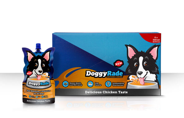 Prebiotic Chicken Drink for Dogs - Doggyrade
