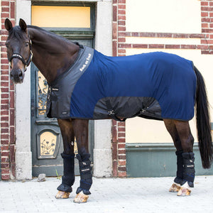 Back on Track – Chemise filet Royal Deluxe Back on Track Bordeaux 125  | Sellerie Bucéphale