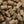 Friandises Speedies Cracker au lin Speed - detail des crackers