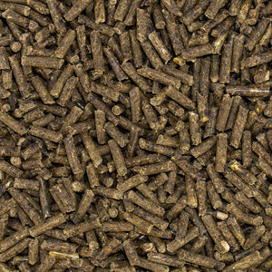 Speed ELECTROLYTE boost - detail des granules