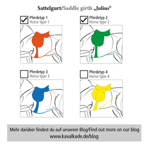 Sangle courte cuir souple Julius Kavalkade sans élastique — Noir/noir — vue 2