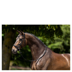 BR – Bridon BR Lewes side & pull oak (brun) Cheval  | Sellerie Bucéphale
