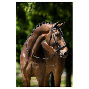 BR – Bridon BR Lewes side & pull oak (brun) Pur-Sang (Cob)  | Sellerie Bucéphale