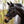 Filet de dressage Zora muserolle suédoise en cuir allemand — Noir/noir — vue 6