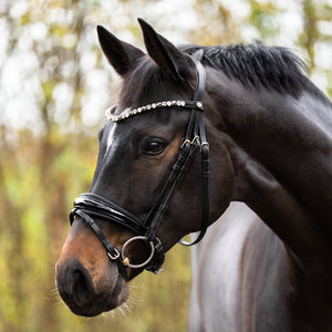 Filet de dressage Zora muserolle suédoise en cuir allemand — Noir/noir — vue 6