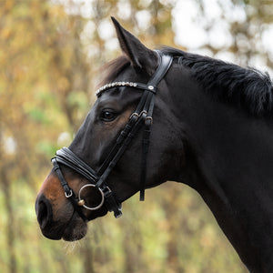 Filet de dressage Zora muserolle suédoise en cuir allemand — Noir/noir — vue 7