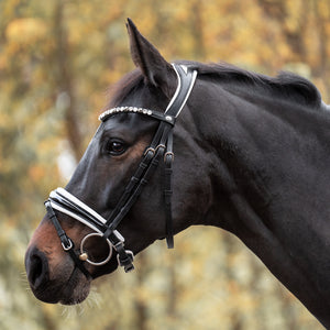 Filet de dressage Zora muserolle suédoise en cuir allemand — Noir verni/blanc — vue 6