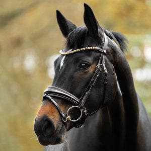 Filet de dressage Zora muserolle suédoise en cuir allemand — Marron/marron — vue 7