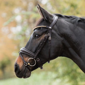 Filet de dressage Zora muserolle suédoise en cuir allemand — Noir verni — vue 3