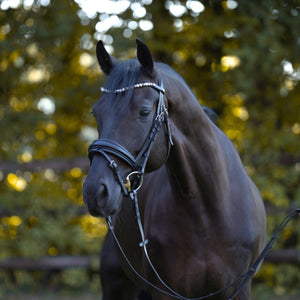 Filet de dressage Zora muserolle suédoise en cuir allemand — Noir verni — vue 4