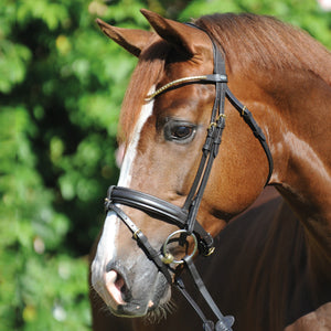 Bridon "Clinchesse" Kavalkade