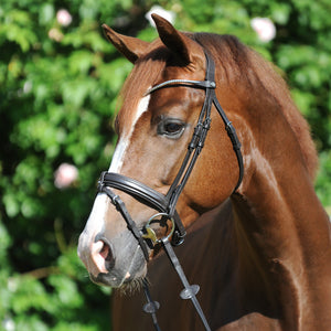 Bridon "Clinchesse" Kavalkade