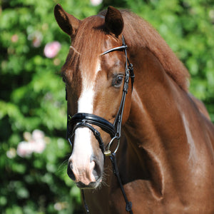 Bridon "Clinchesse" Kavalkade