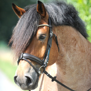 Bridon "Clinchesse" Kavalkade