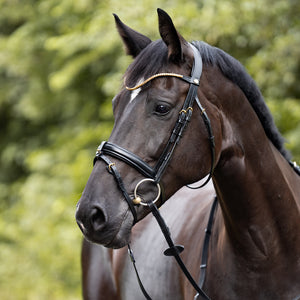 Bridon "Clinchesse" Kavalkade