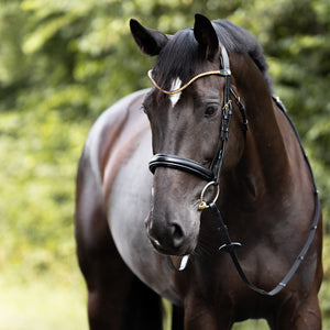 Bridon "Clinchesse" Kavalkade