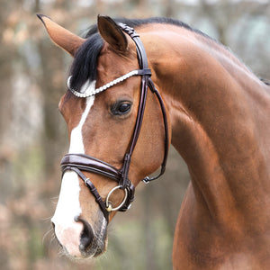 Kavalkade – Bridon Florina crank Kavalkade Noir Cheval  | Sellerie Bucéphale