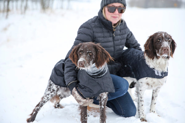 Manteau pour lévrier "Whippet" Back on Track