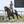 Woof Wear – Guêtres Stretch & Flex Flatwork Wraps Equilibrium White 2 | Sellerie Bucéphale