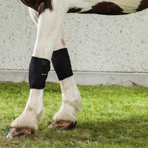 Προστατευτικό γονάτου Back on Track