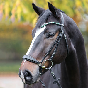 Frontal Sparkle Kavalkade
