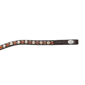 Frontal Splendid Kavalkade — Marron/marron