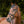 Frontal Dazzle Kavalkade — Marron/marron — vue 4