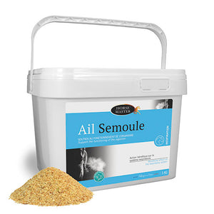 Ail Semoule Horse Master
