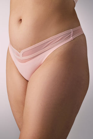 STRING N°19 PAARDKO