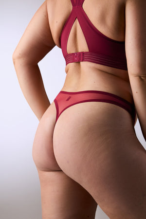 STRING N°19 PAARDKO