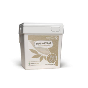 Seau de 1 kg de boswellia serrata en résine poudre Phyto Master pour cheval