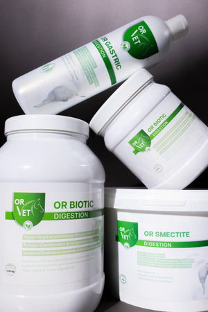 Or-Vet – Or-Gastric en situation | Sellerie Bucéphale