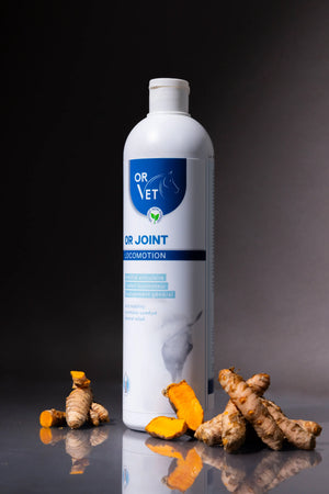 Or-Vet – Or-Joint en situation | Sellerie Bucéphale