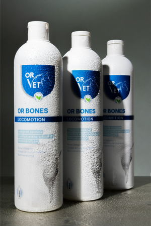 Or-Vet – Or-Bones en situation | Sellerie Bucéphale