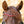 Frontal Not So Silent Night Kavalkade — Marron/rouge-or — vue 2