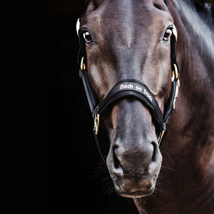 Licol Werano Back on Track Noir  | Sellerie Bucéphale