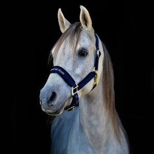 Back on Track – Licol Werano Back on Track Noir Poney  | Sellerie Bucéphale