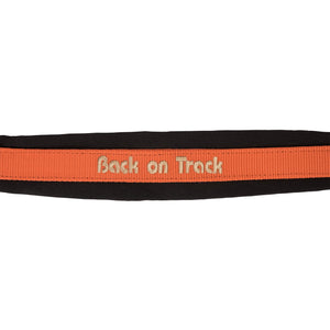 Licol Werano Back on Track