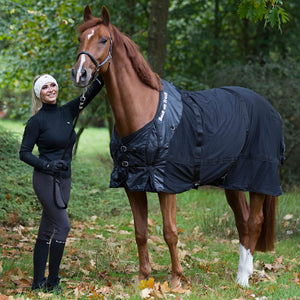 Back on Track – Chemise filet sur cheval alezan | Sellerie Bucéphale