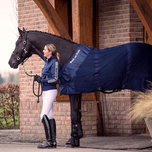 Back on Track – Chemise filet Bleu sur cheval bai brun | Sellerie Bucéphale