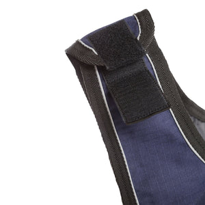 Cobre-costas Sammy Back on Track