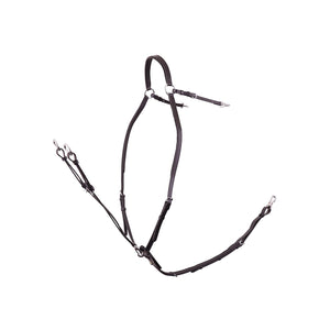 Collier de chasse BR Rayleigh
